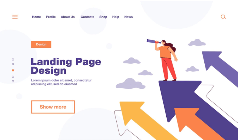cómo se determina que una landing page es exitosa
