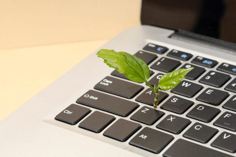 Cómo crear contenido evergreen en 9 pasos