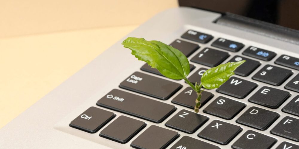 Cómo crear contenido evergreen en 9 pasos