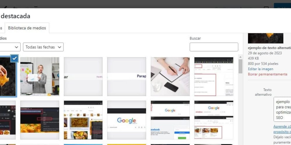 qué es alt text y cómo optimizarlo para el SEO